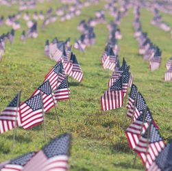 selective focus photography of USA flaglets planted on ground