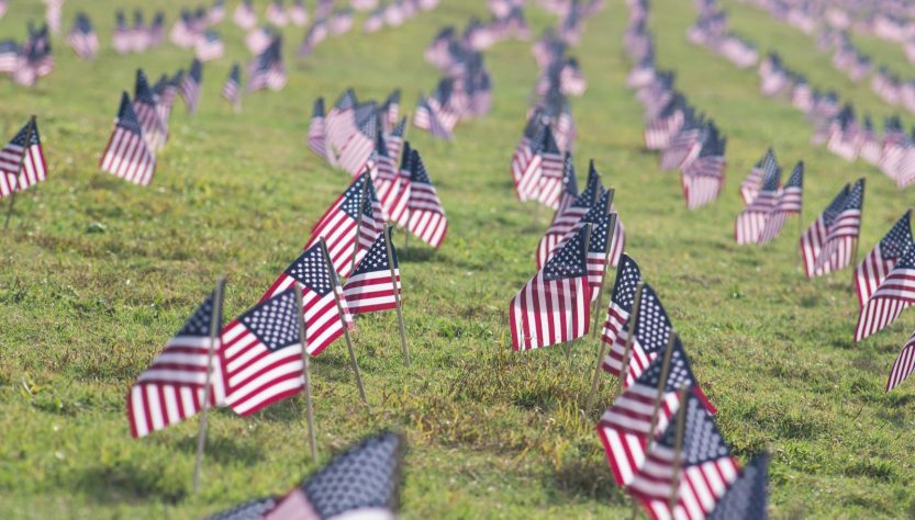 selective focus photography of USA flaglets planted on ground