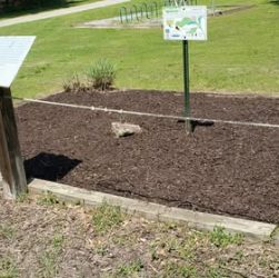 Pollinator Garden Fowler Park