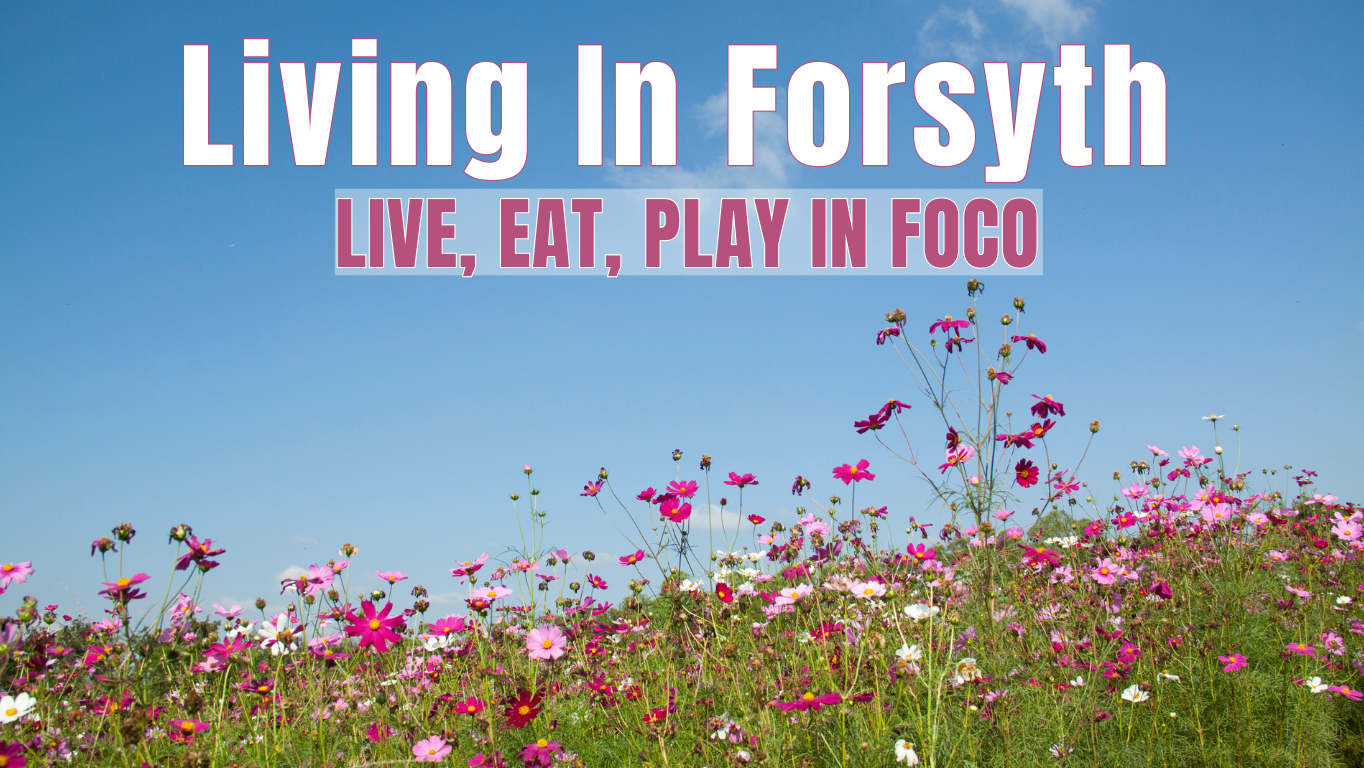 LivinginForsyth.com