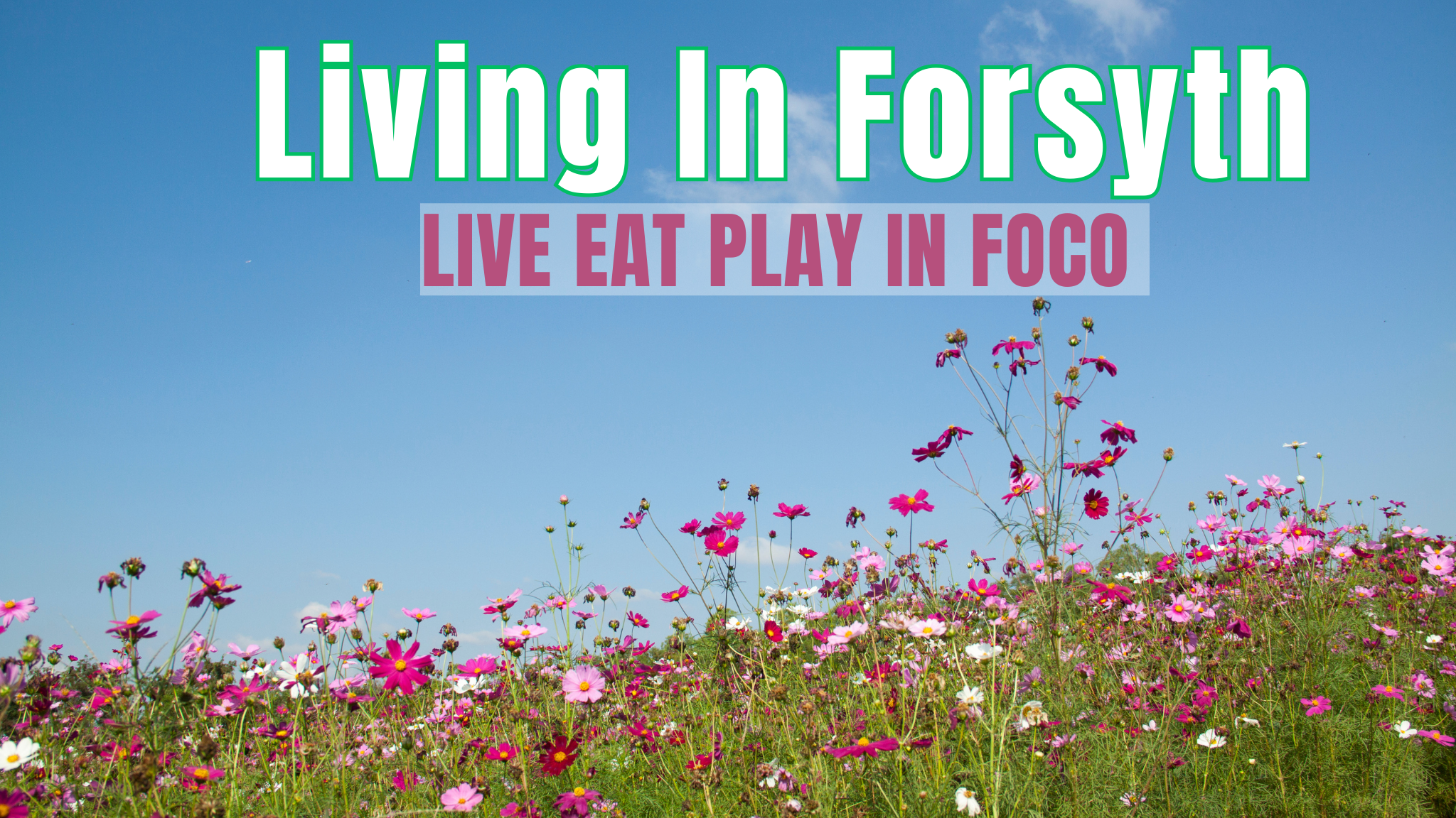 Living in Forsyth magazine