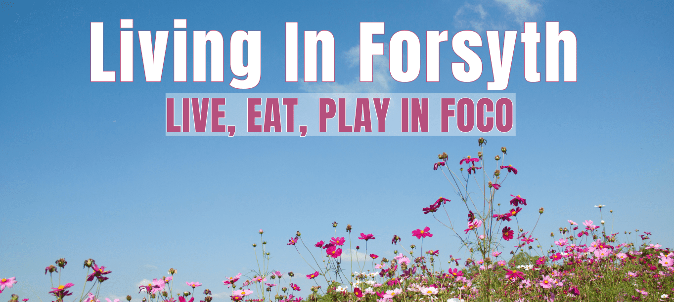 LivinginForsyth.com