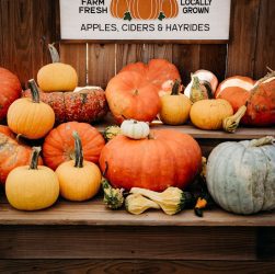 Fall in Forsyth County GA
