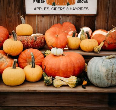 Fall in Forsyth County GA