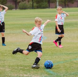 4 women playing soccer on green grass field during daytime