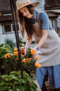 Spring Fun This Week in Forsyth County + North Georgia 2 A woman in an apron and hat tending to flowers