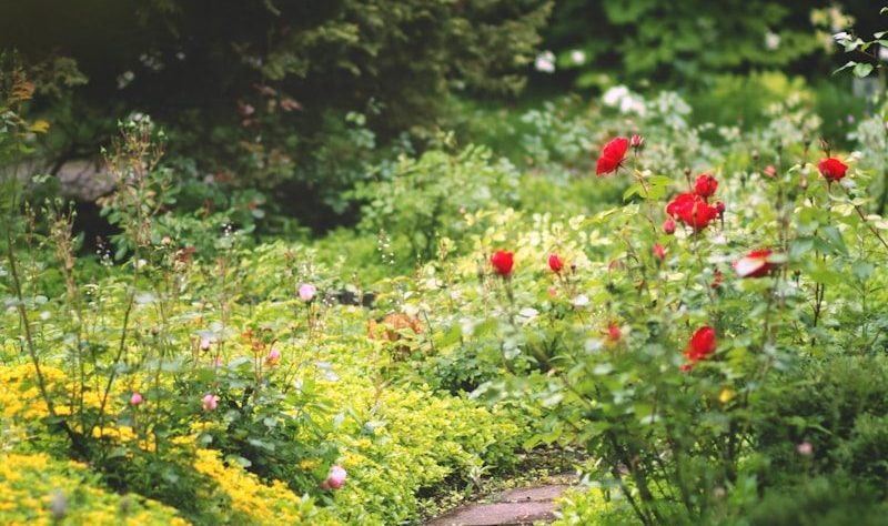 Enjoy March in Forsyth County and North GA 1 gardens in Forsyth county