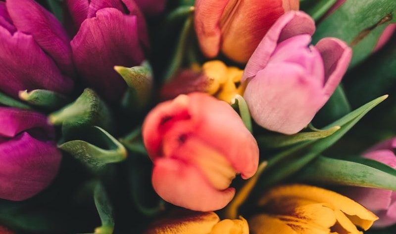 Spring Fun This Week in Forsyth County + North Georgia 1 assorted flowers