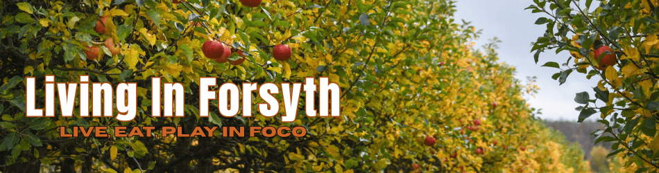 Autumn logo for LivinginForsyth.com magazine